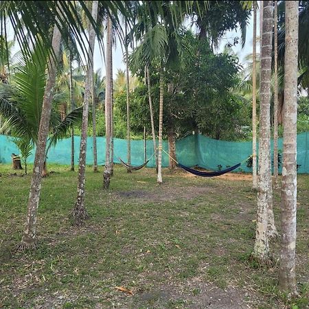 Blue Lagoon Resort, Neil Island Sitapur Exterior photo