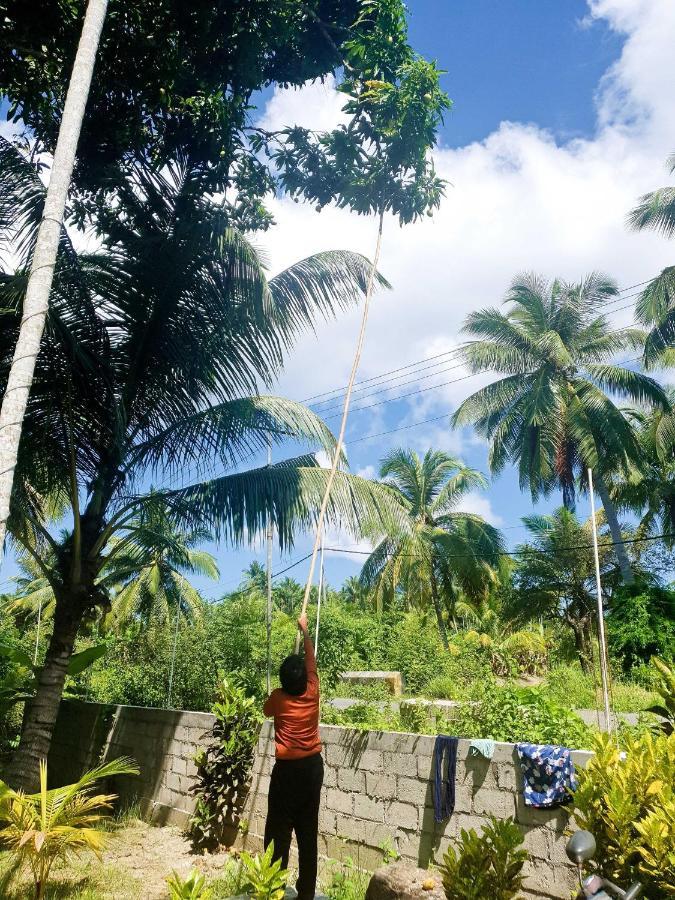 Blue Lagoon Resort, Neil Island Sitapur Exterior photo